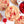 Load image into Gallery viewer, New Flavored Coffee